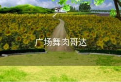 广场舞肉哥达