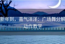 新年到，喜气洋洋：广场舞分解动作教学