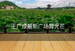 王广成最新广场舞光芒