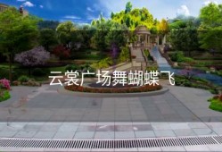 云裳广场舞蝴蝶飞