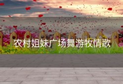 农村姐妹广场舞游牧情歌