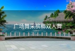 广场舞采槟榔双人舞