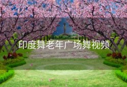 印度舞老年广场舞视频