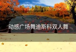 动感广场舞迪斯科双人舞