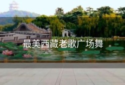 最美西藏老歌广场舞