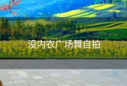 没内衣广场舞自拍