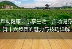 舞动健康，乐享生活：广场健身舞十六步舞的魅力与技巧详解
