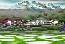 舞动时代重庆奉节广场舞