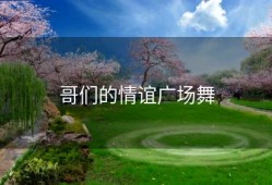 哥们的情谊广场舞