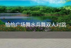 恰恰广场舞水兵舞双人对跳