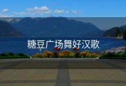 糖豆广场舞好汉歌