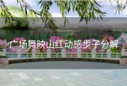 广场舞映山红动感步子分解