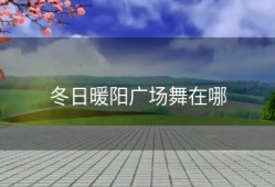 冬日暖阳广场舞在哪