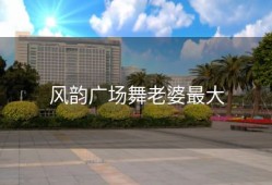 风韵广场舞老婆最大