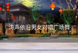 涛声依旧男女对唱广场舞