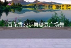 百花香32步舞糖豆广场舞