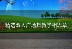 精选双人广场舞教学相思草