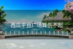 西瓜平台广场舞伤不起