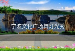 宁波文化广场舞灯光秀