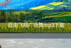 自由飞翔广场舞mp3下载