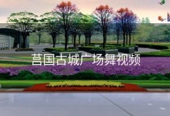 莒国古城广场舞视频