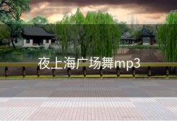 夜上海广场舞mp3