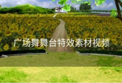 广场舞舞台特效素材视频