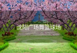 沈阳广场舞篮球场