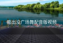 熊出没广场舞配音版视频
