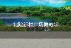 北院新村广场舞教学