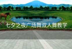 七夕之夜广场舞双人舞教学