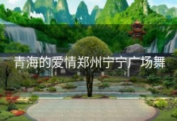 青海的爱情郑州宁宁广场舞