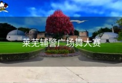 莱芜辅警广场舞大赛