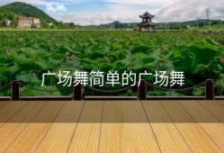 广场舞简单的广场舞