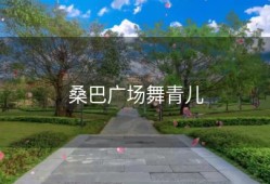 桑巴广场舞青儿