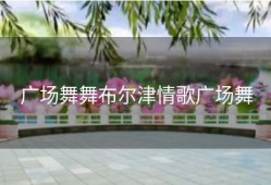 广场舞舞布尔津情歌广场舞