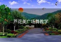 芦花美广场舞教学