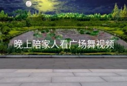 晚上陪家人看广场舞视频