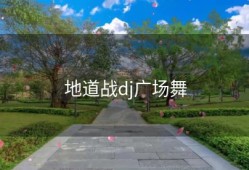 地道战dj广场舞