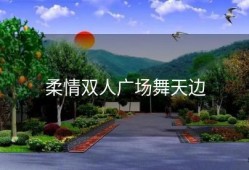 柔情双人广场舞天边