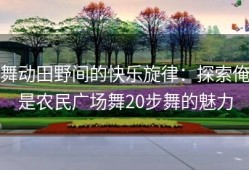 舞动田野间的快乐旋律：探索俺是农民广场舞20步舞的魅力
