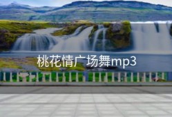 桃花情广场舞mp3
