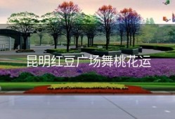 昆明红豆广场舞桃花运