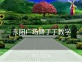 东阳广场舞丁丁教学
