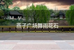燕子广场舞雨花石