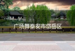 广场舞泰安市岱岳区