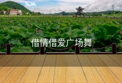 借情借爱广场舞