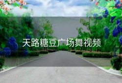 天路糖豆广场舞视频