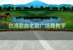 台湾歌曲老歌广场舞教学