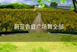 蔚蓝香庭广场舞全部